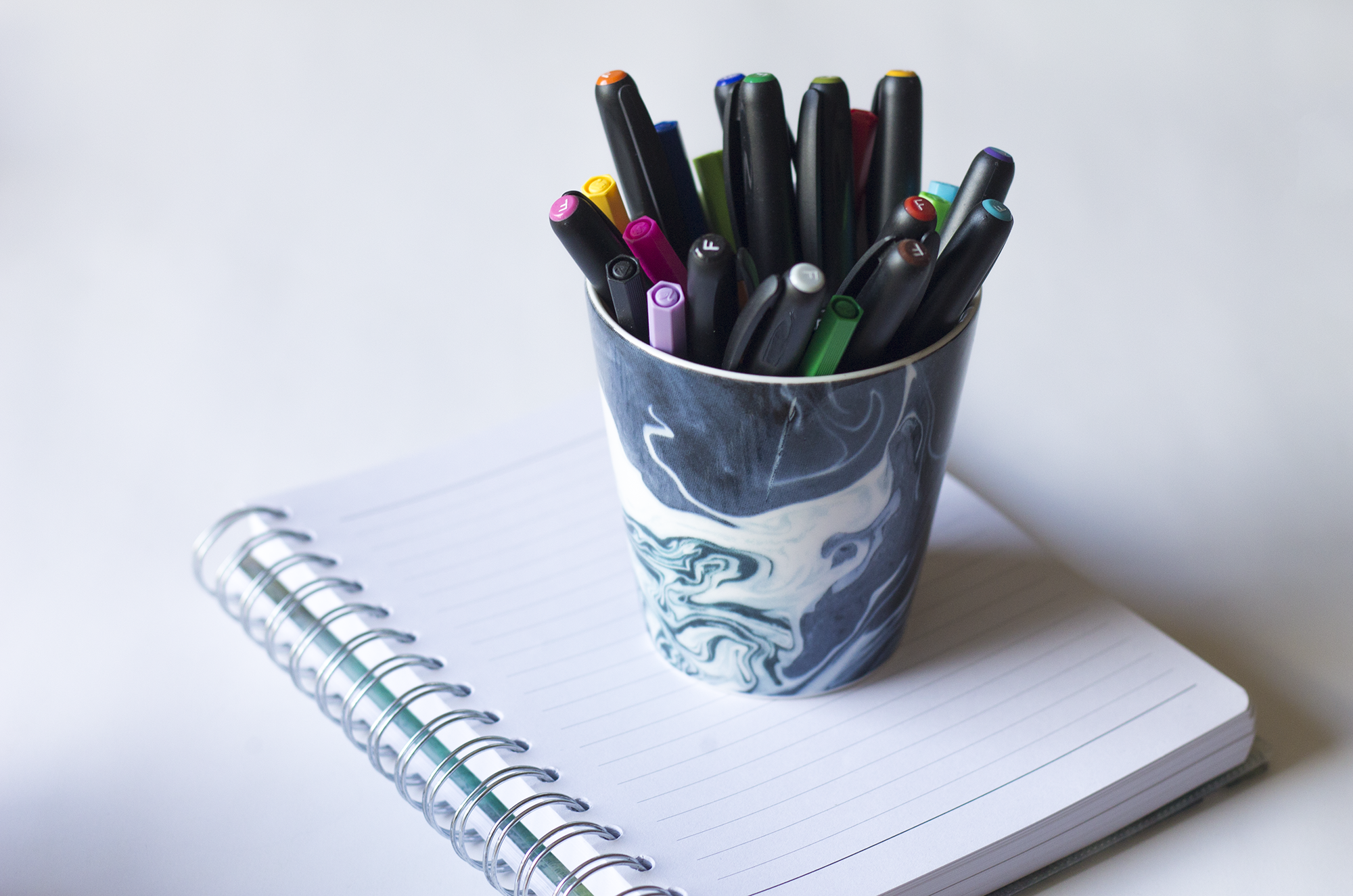 Holly Pryce: who I am and my journey into web development