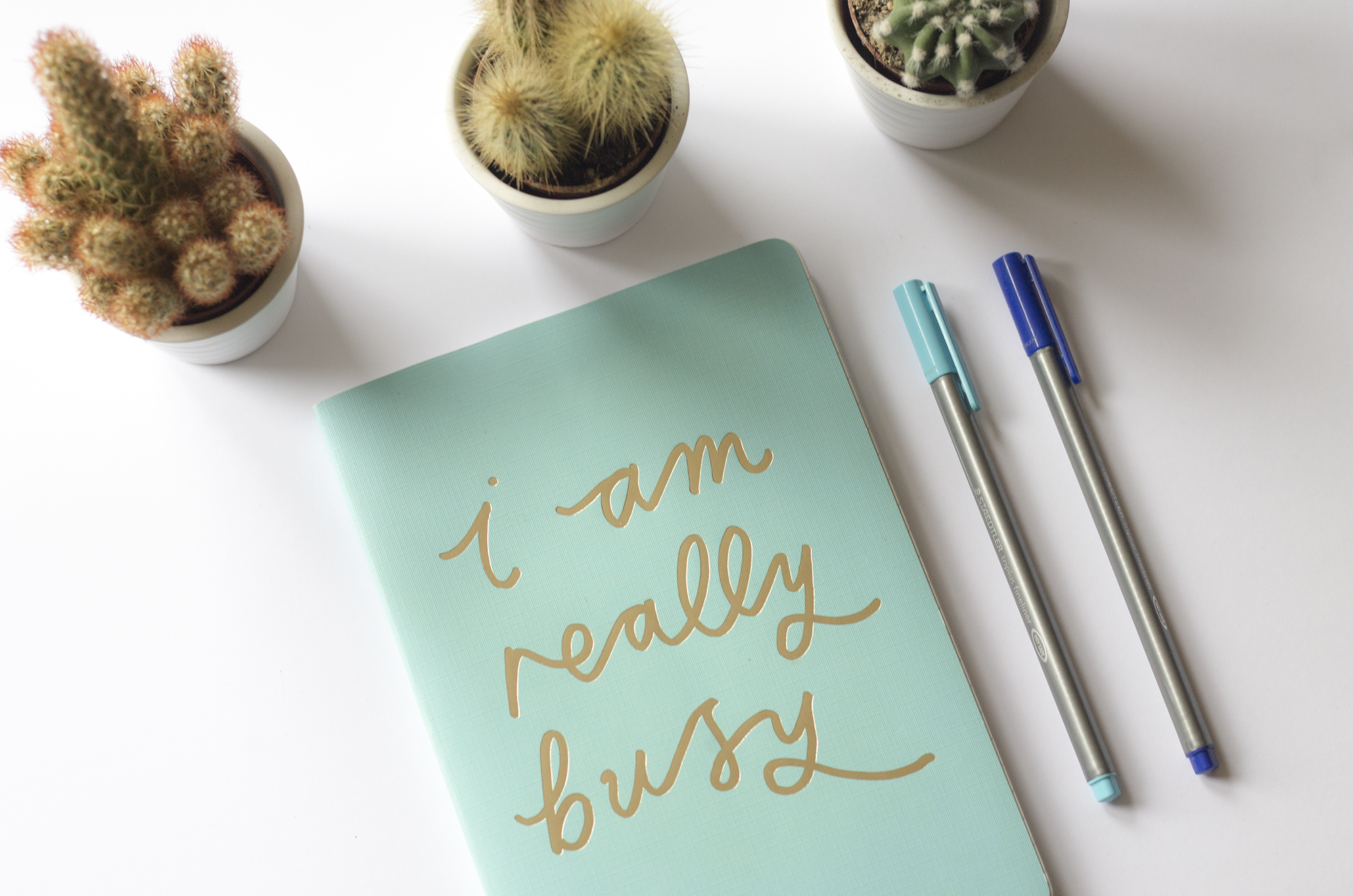 How to report problems with your website to your developer | HollyPryce.com