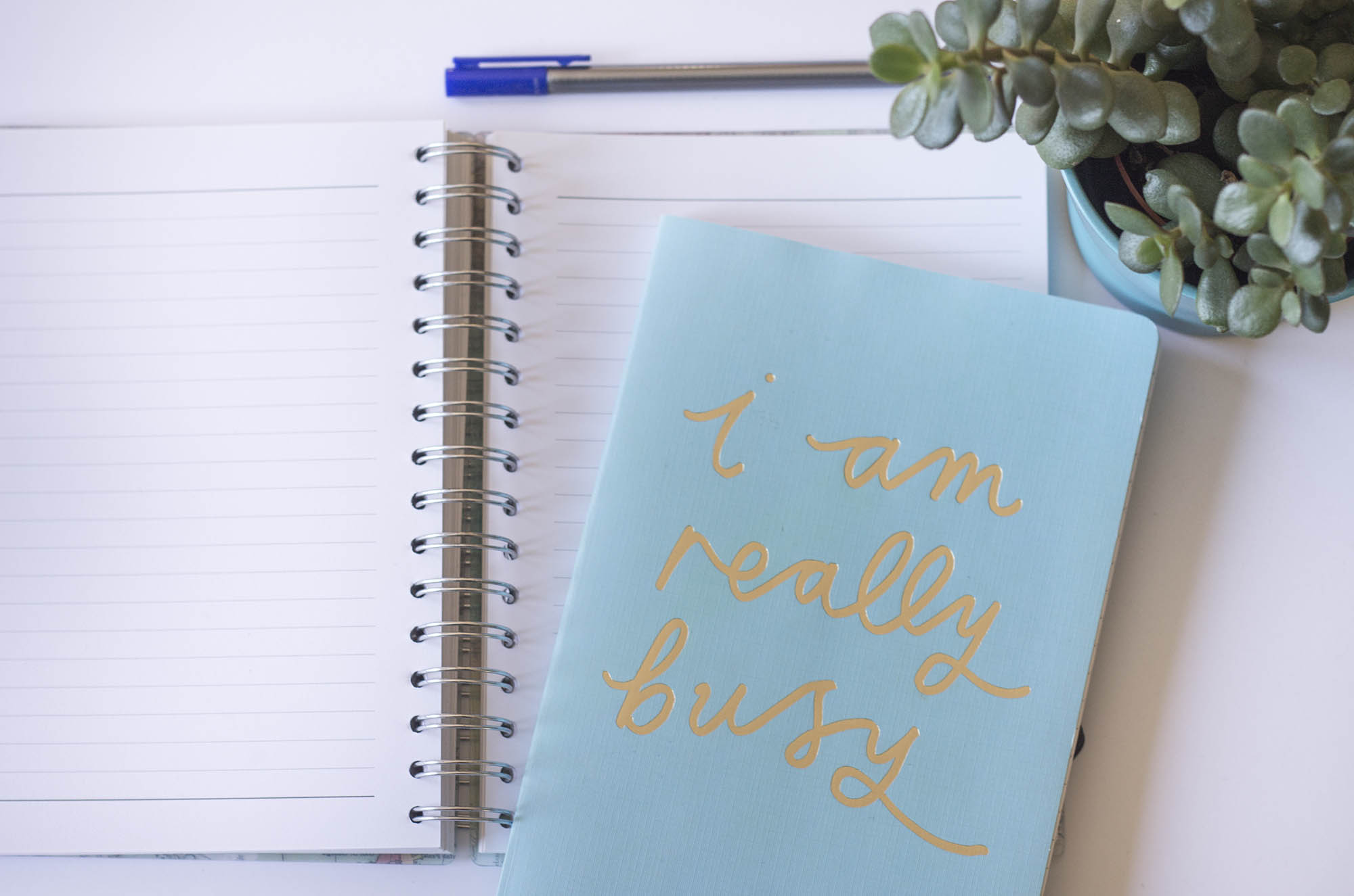 Why you should avoid overusing plugins on your WordPress website