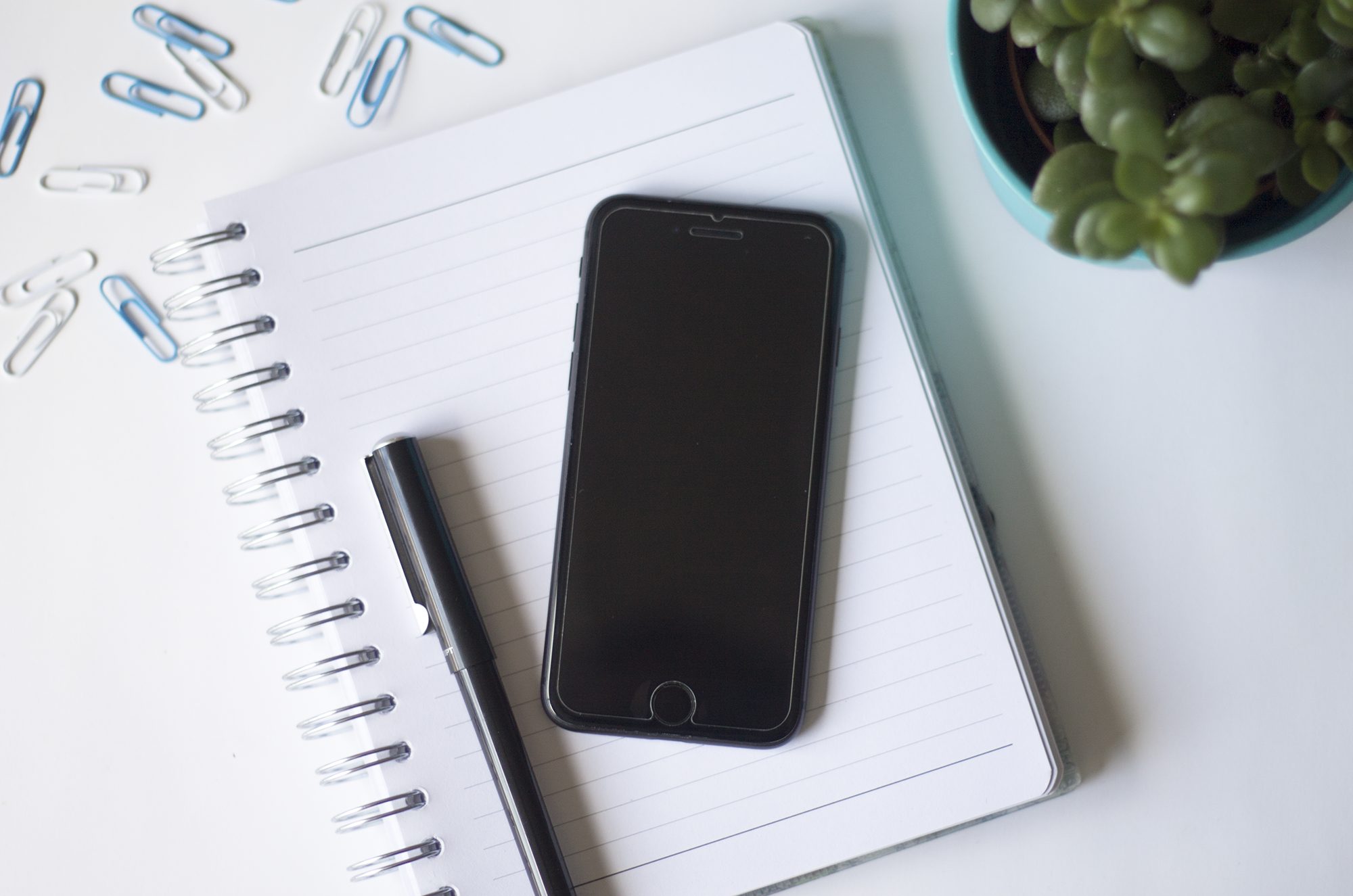 How to offer web design services when you don’t know how to code