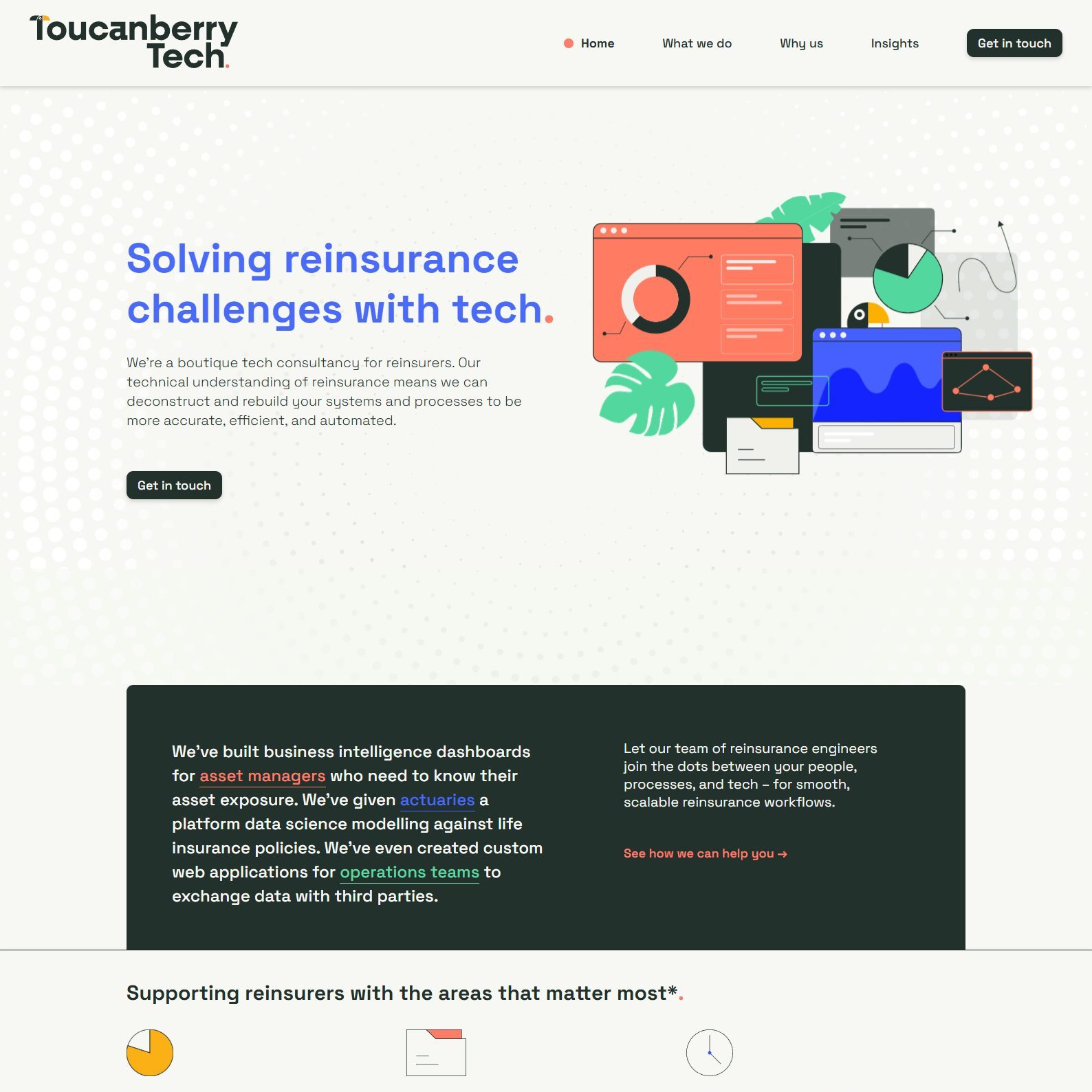 WordPress Website Development: Toucanberry Tech